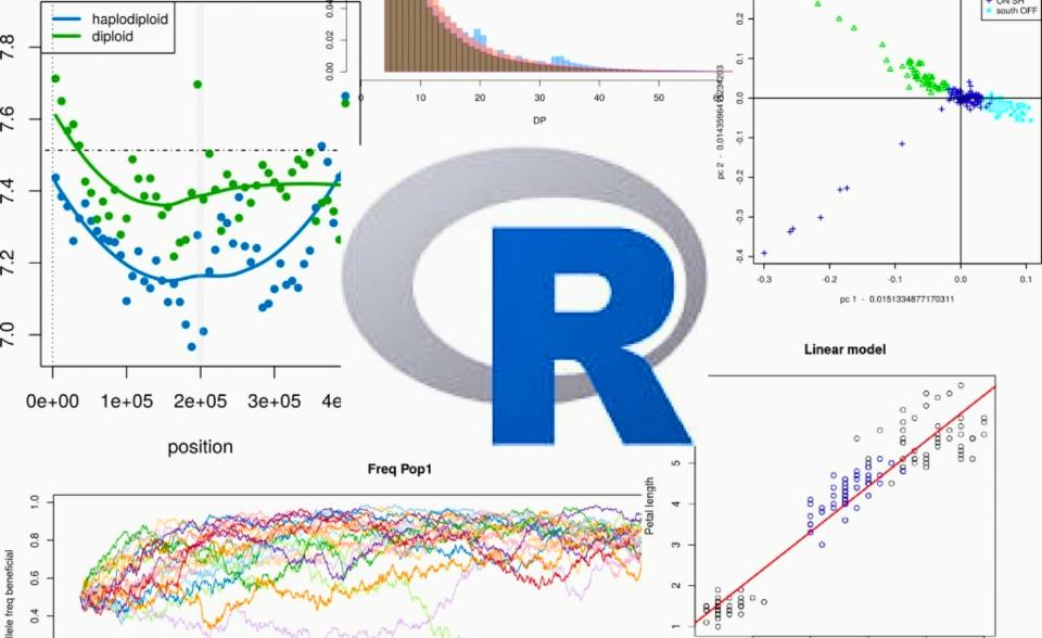 Advanced R for Ecology and Evolutionary Biology 2023/2024